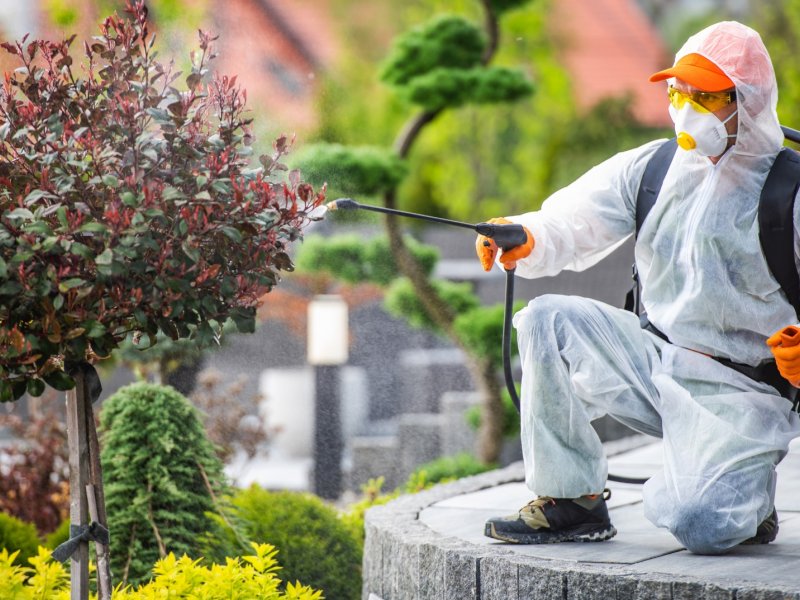 Kartepe Haşere İlaçlama